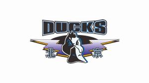 北汽男篮新赛季主场确定首钢冰球馆+五棵松